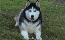 The White House Apartment - Accommodation QLD 7