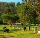 Giba Gunyah Country Cottages - Accommodation QLD