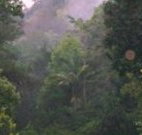 Havans Ecotourist Retreat - - Accommodation QLD