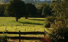 Pines On The Plateau - Accommodation QLD 0