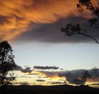 Silkwood B and B - Accommodation QLD