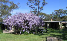 Studio Cottages - Accommodation QLD 0