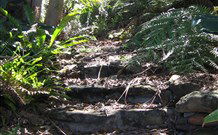 Studio Cottages - Accommodation QLD 5