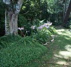 Tallawalla Retreat - Accommodation QLD