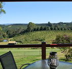 The Shed B and B - Accommodation QLD