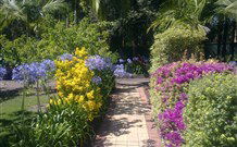 Wamberal Cottage - Accommodation QLD 7