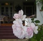 White House Heritage Guesthouse - Accommodation QLD