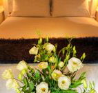 Winton Luxury Bed and Breakfast - Accommodation QLD