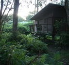 Mount Seaview Resort - Accommodation QLD