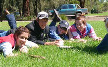 Murwillumbah  YHA Mount Warning - Accommodation QLD 2