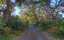 BiJs On The Beach - Accommodation QLD 3