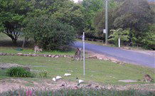 Calurla Chalets And Cottages - Accommodation QLD 2