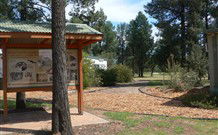 Carrie's Cottage - Accommodation QLD 5