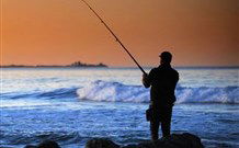 Emma's Cottage Vineyard - Accommodation QLD 1