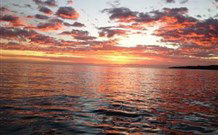 Emma's Cottage Vineyard - Accommodation QLD 4