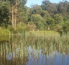 Fosterton Lodge Retreat - Accommodation QLD