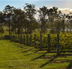 Hidden Treasure - Accommodation QLD