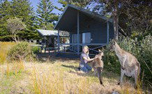 Norman Lindsay Cottage - Accommodation QLD 9