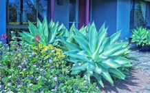 Jerrys Plains NSW Accommodation QLD