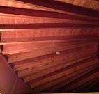 Sea Cottage - Accommodation QLD