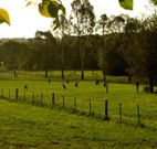 Stone Cottage Mittagong - Accommodation QLD