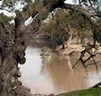 Valley View Cottage Hunter Valley - Accommodation QLD