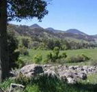Woolshed Hill Estate - Accommodation QLD