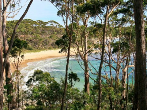 Allawah Cabins - Accommodation QLD 1