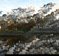 Greysen Farmstay - Accommodation QLD