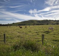 Annas Retreat - Accommodation QLD