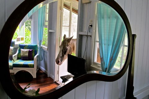 Noosa Avalon Farm Cottages - Accommodation QLD 10