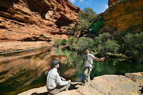 Kings Canyon Holiday Park - Accommodation QLD 8