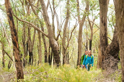 Mt Lofty YHA - Accommodation QLD 8