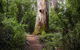 Pemberton YHA - thumb 2
