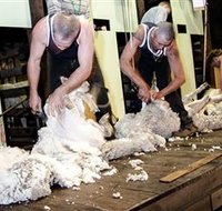 The Woolshed at Jondaryan Caravan and Camping - Accommodation QLD