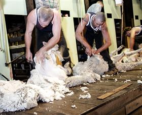 The Woolshed At Jondaryan Caravan And Camping - Accommodation QLD 0