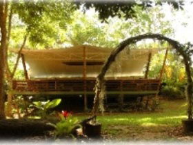 Cedar Park Rainforest Resort - Accommodation QLD 2