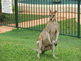 Villa Marine Holiday Apartments - Accommodation QLD 1