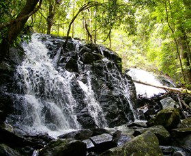 Bellthorpe Stays - Nature's Retreat - Accommodation QLD 1