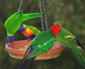 Bellthorpe Stays - Nature's Retreat - Accommodation QLD 3