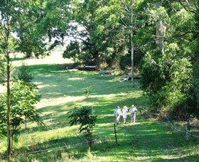 Bellthorpe Stays - Nature's Retreat - Accommodation QLD 2