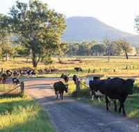 Tommerups Dairy Farmstay - Accommodation QLD