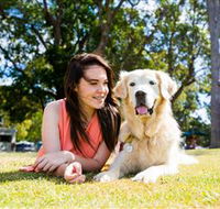 Jacobs Well Tourist Park - Accommodation QLD