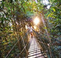 O'Reilly's Rainforest Retreat - Accommodation QLD