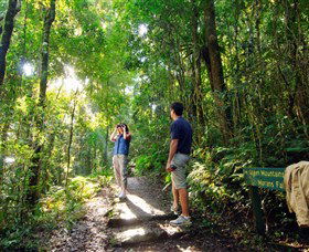 O'Reilly's Rainforest Retreat - Accommodation QLD 2