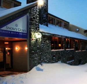 Snowy Gums Chalet - Accommodation QLD 1