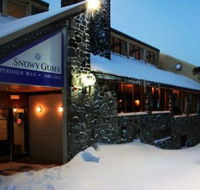 Snowy Gums Chalet - Accommodation QLD