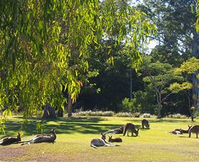 Bellmere On Richards - Accommodation QLD 2