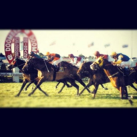 AAA The View - Accommodation QLD 3