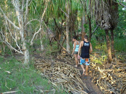 Berry Creek Bush Retreat - Accommodation QLD 7